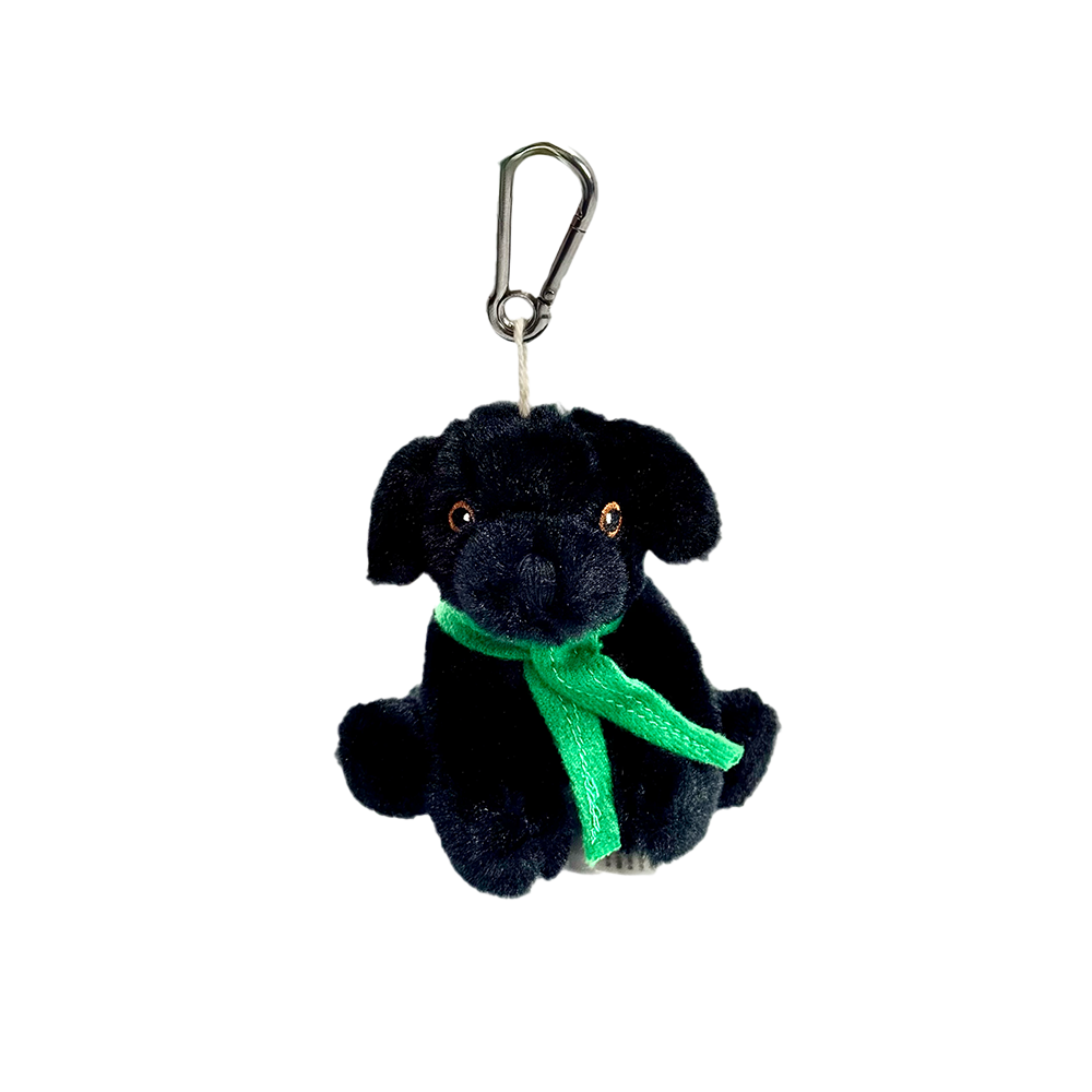 BARK Ranger - Plush Black Lab Dog Key Clip - Zion Natl Park Forever Project