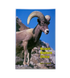 Book - Desert Bighorn Sheep - Zion Natl Park Forever Project