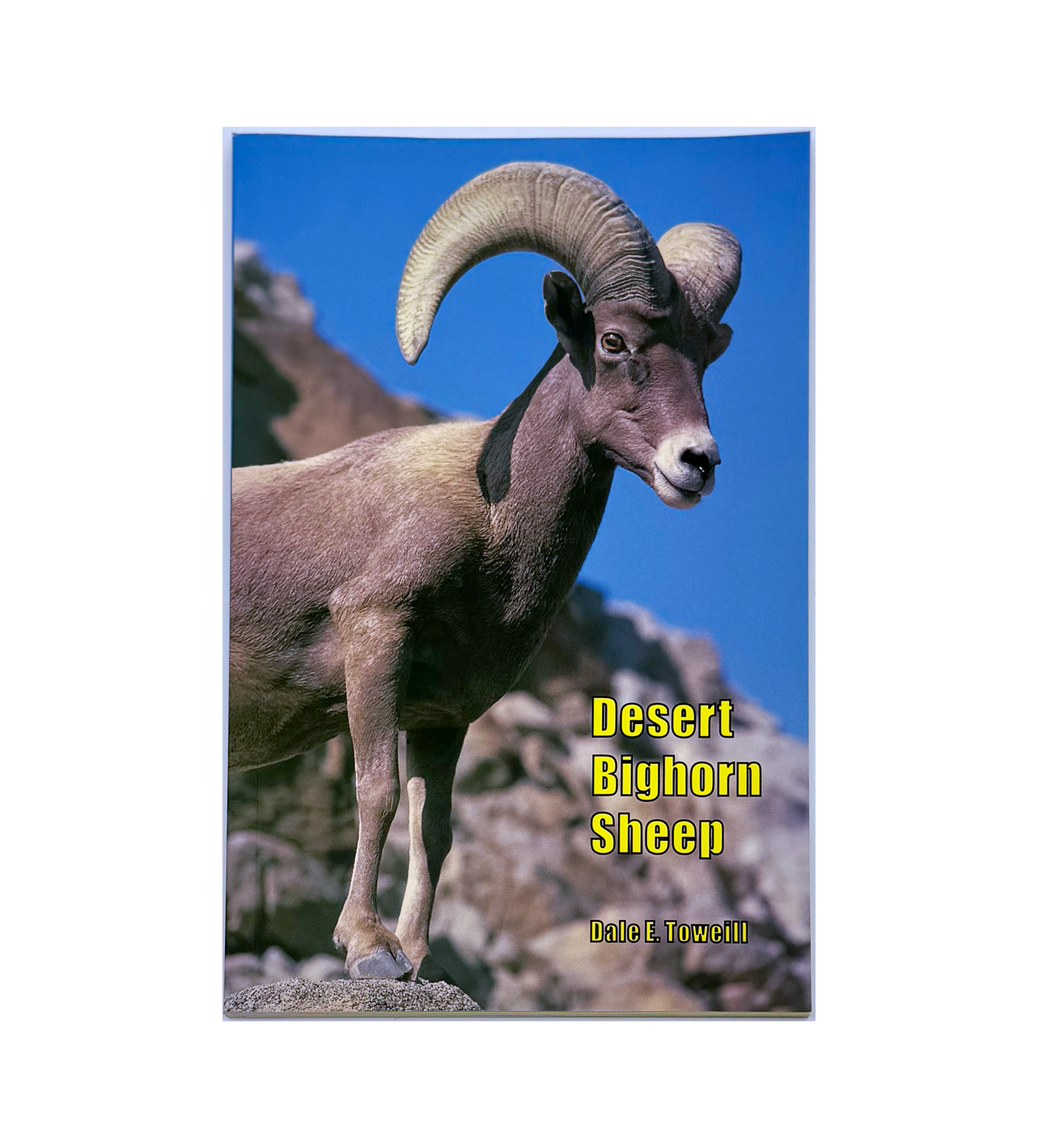 Book - Desert Bighorn Sheep - Zion Natl Park Forever Project