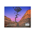 Book - Bryce, Zion And Grand Canyon - Zion Natl Park Forever Project