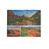 Book - Bryce, Zion And Grand Canyon - Zion Natl Park Forever Project