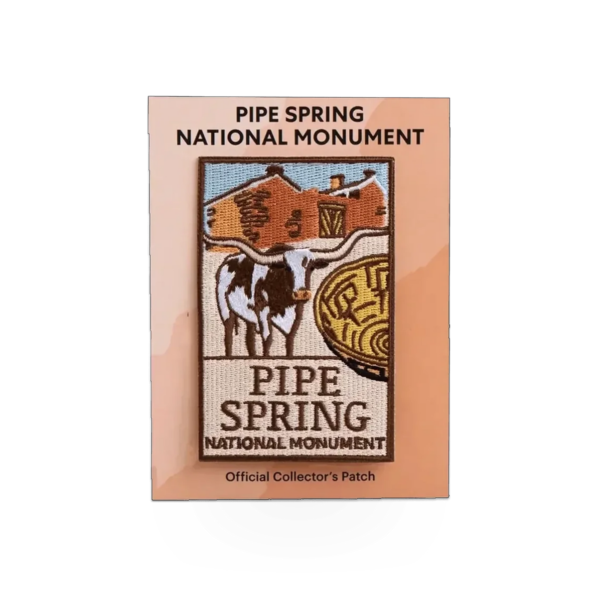 Eagle River Designs Patch - PISP theme featuring a detailed embroidered design on fabric for clothing or accessories.