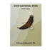 Pin - Animal - Bald Eagle - Zion Natl Park Forever Project