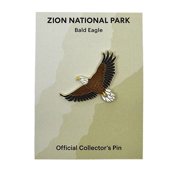 Eagle River Designs bald eagle themed pin featuring a detailed eagle head design on a metal pin.