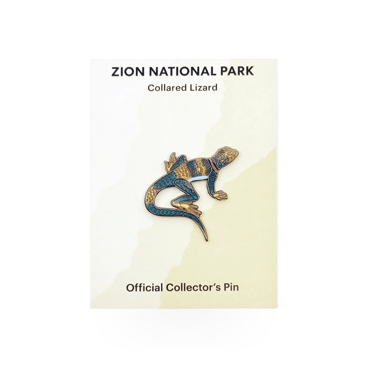 Eagle River Designs collared lizard themed pin featuring a detailed illustration of a collared lizard on a metal pin.
