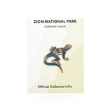 Eagle River Designs collared lizard themed pin featuring a detailed illustration of a collared lizard on a metal pin.