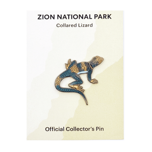 Pin - Animal - Collared Lizard - Zion Natl Park Forever Project