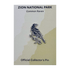 Pin - Animal - Common Raven - Zion Natl Park Forever Project