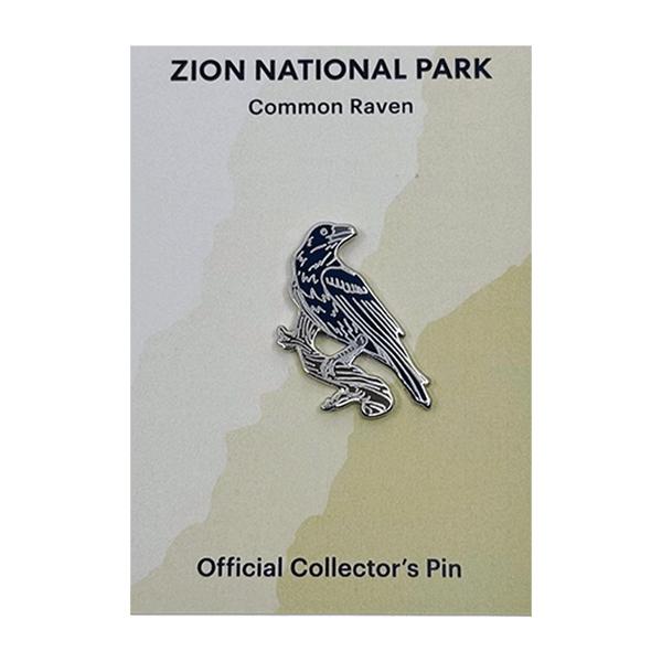 Eagle River Designs animal theme pin featuring a detailed common raven with black feathers and silver accents.