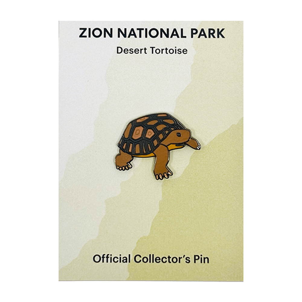 Pin - Animal - Desert Tortoise - Zion Natl Park Forever Project