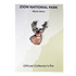 Pin - Animal - Mule Deer - Zion Natl Park Forever Project