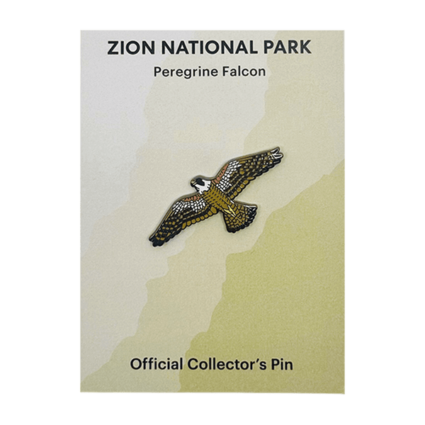 Eagle River Designs peregrine falcon animal theme pin featuring a detailed bird illustration on a metal pin.