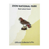 Pin - Animal - Red Tailed Hawk - Zion Natl Park Forever Project