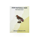 Red-tailed hawk themed pin by Eagle River Designs featuring a detailed red-tailed hawk illustration.
