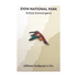 Pin - Animal - Rufous Hummingbird - Zion Natl Park Forever Project