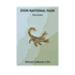 Pin - Animal - Scorpion - Zion Natl Park Forever Project
