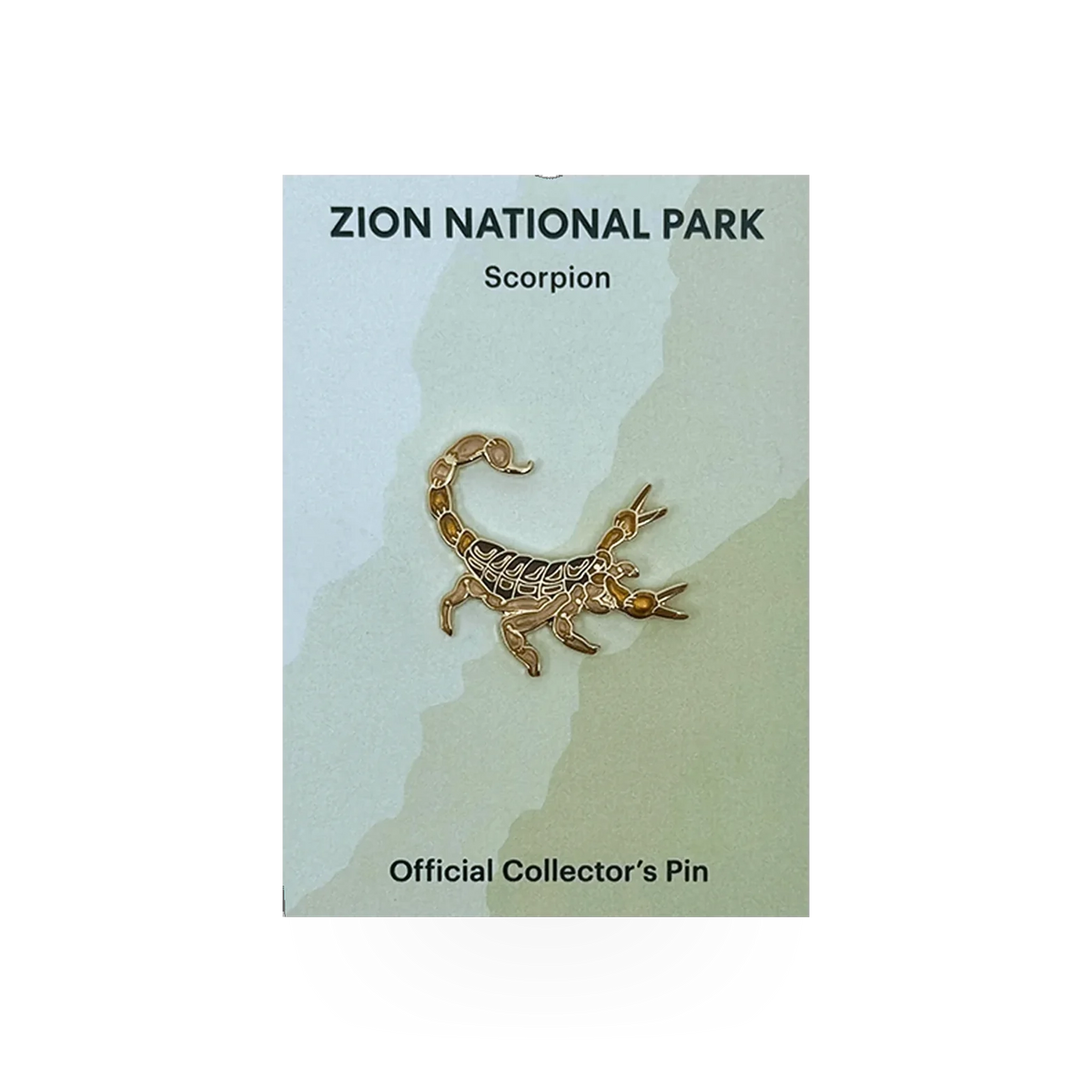 Eagle River Designs animal theme pin featuring a detailed scorpion design on a metallic pin backing.