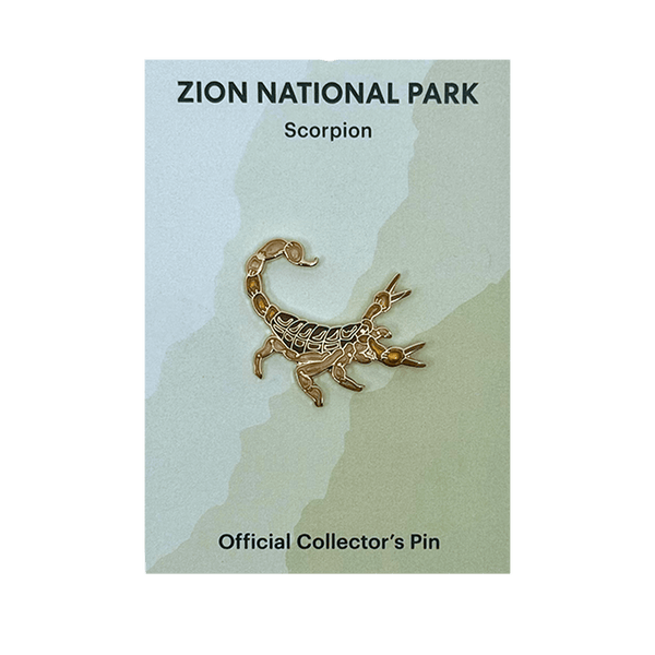 Eagle River Designs animal theme pin featuring a detailed scorpion design, perfect for accessorizing and collection.