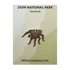 Pin - Animal - Tarantula - Zion Natl Park Forever Project