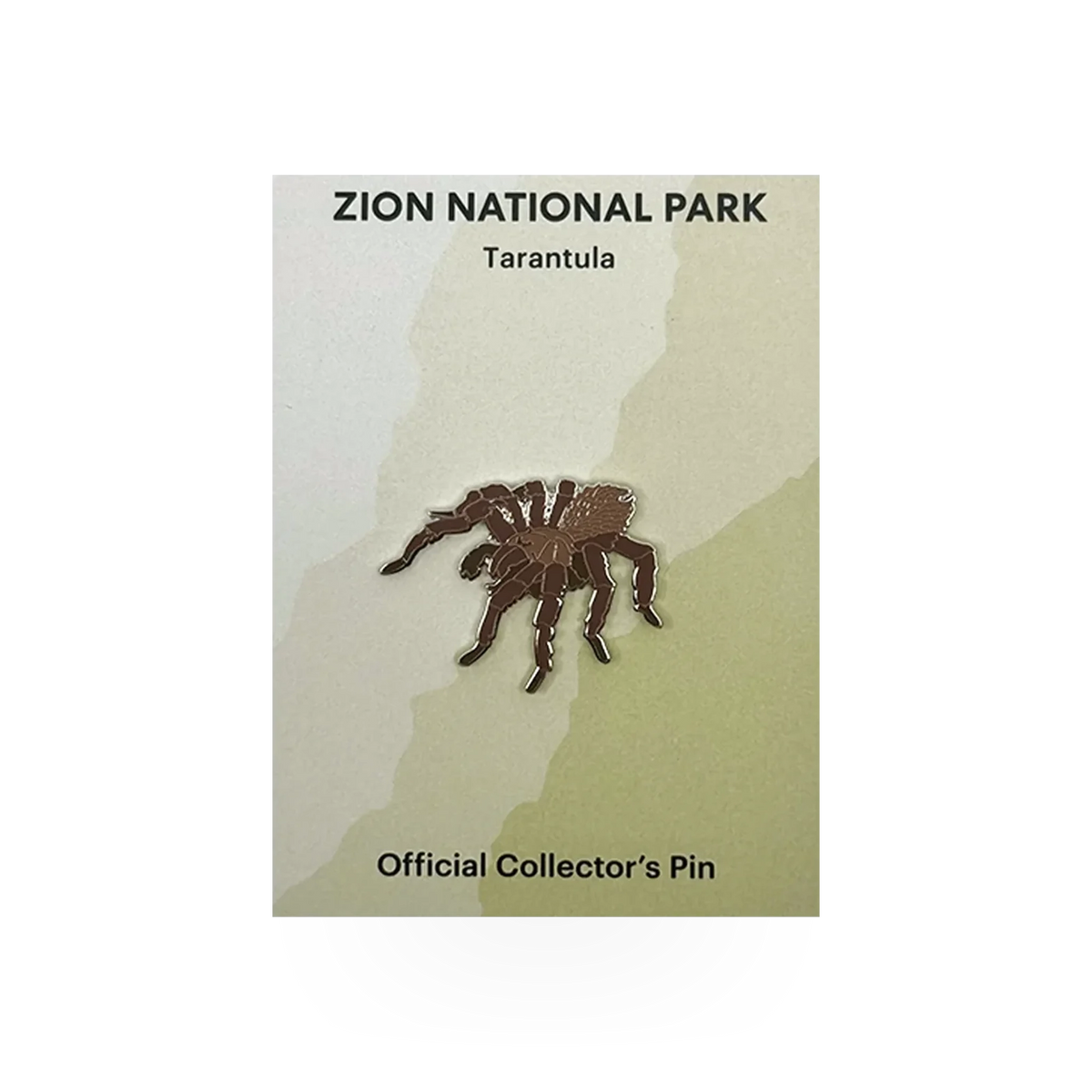 Eagle River Designs animal theme pin featuring a detailed tarantula spider illustration.