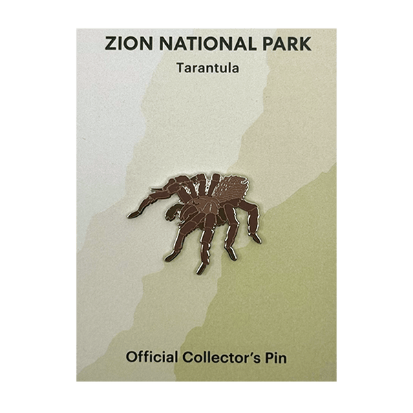 Pin - Animal - Tarantula - Zion Natl Park Forever Project