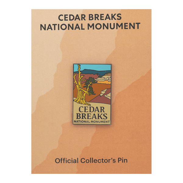 Eagle River Designs Cedar Breaks theme pin featuring a detailed design of Cedar Breaks rock formations and natural scenery.