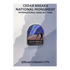 Pin - CEBR Dark Sky - Zion Natl Park Forever Project