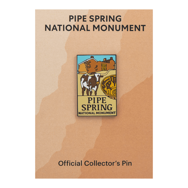 Pin - PISP - Zion Natl Park Forever Project