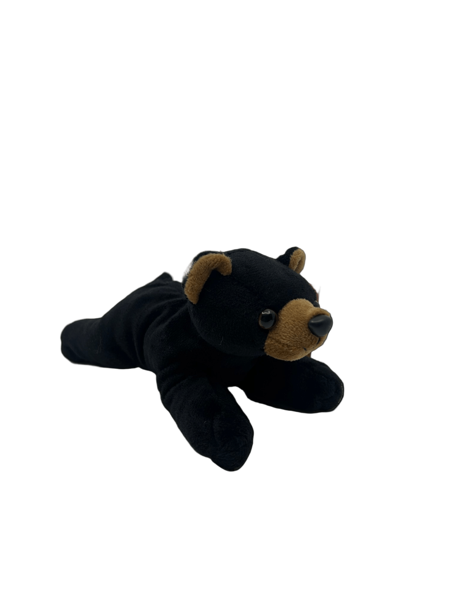 Plush - 6" Handful Black Bear Dntd - Zion Natl Park Forever Project