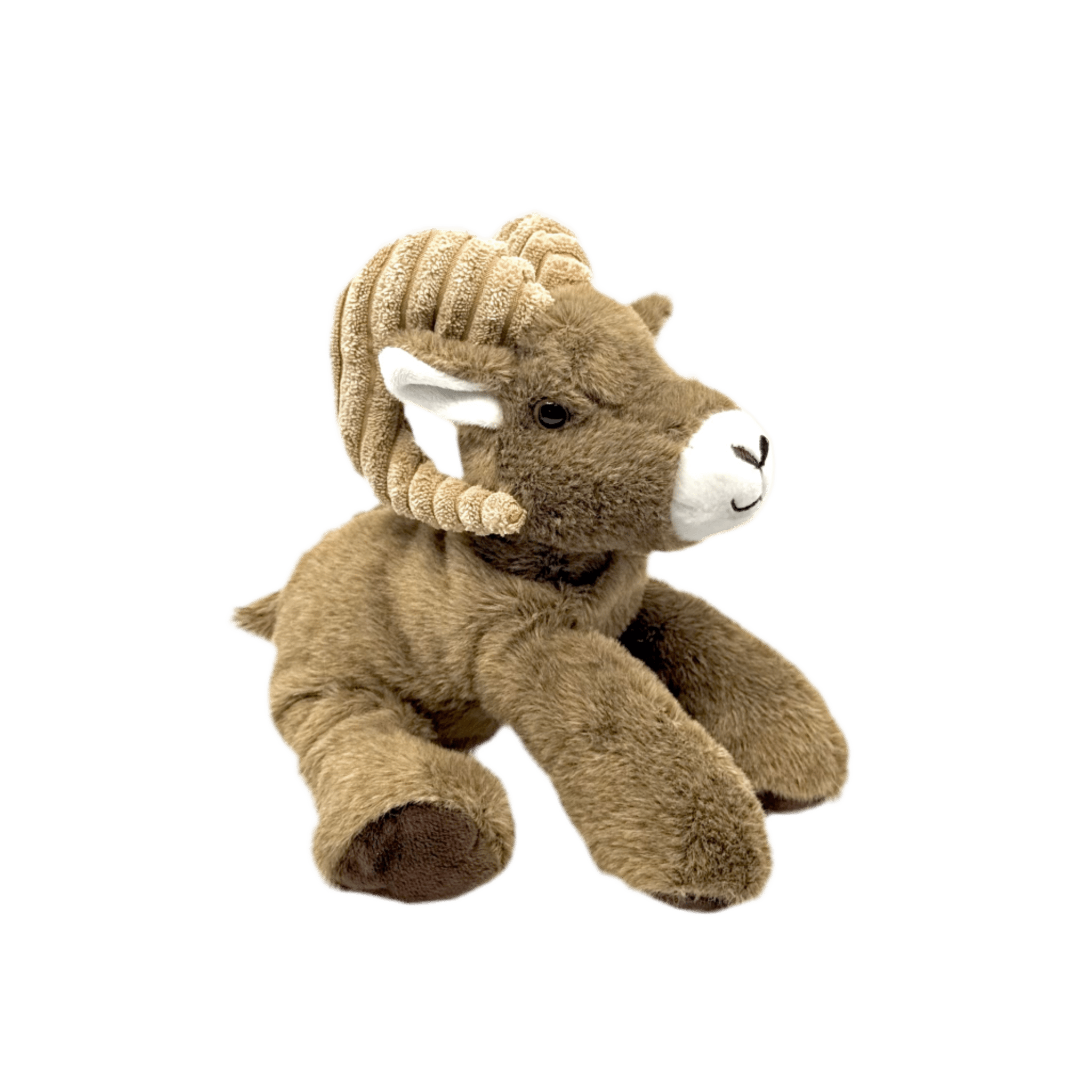 Plush - Bighorn - Zion Natl Park Forever Project