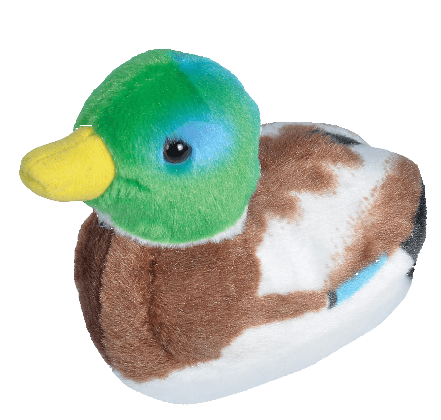 Plush - Bird - Mallard - Zion Natl Park Forever Project
