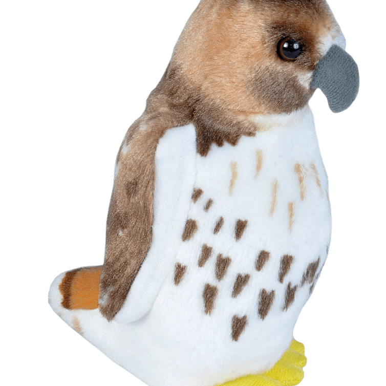 Plush - Bird - Red-Tailed Hawk - Zion Natl Park Forever Project