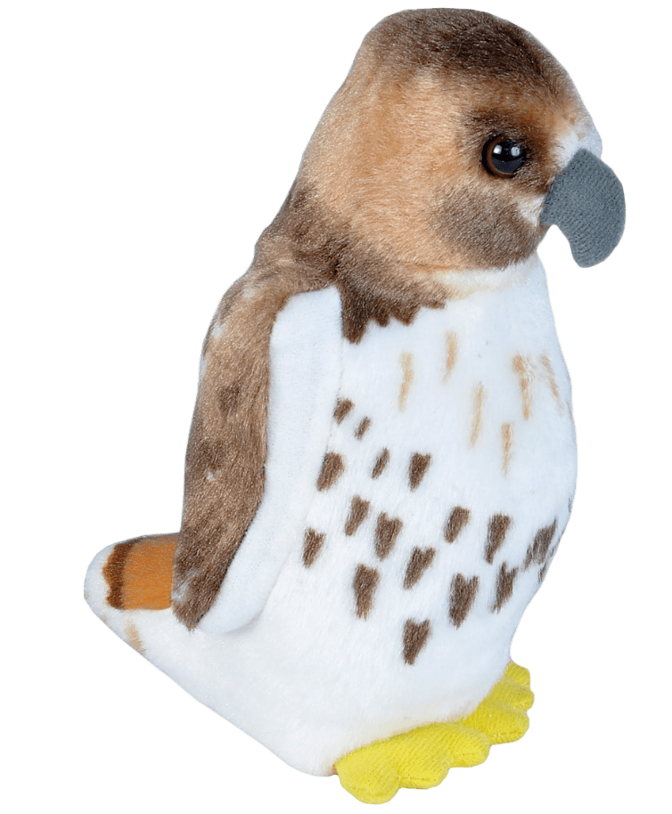 Plush - Bird - Red-Tailed Hawk - Zion Natl Park Forever Project