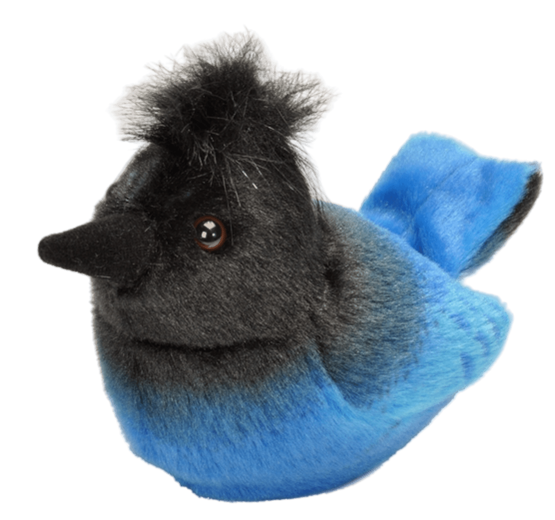 Plush - Bird - Stellers Jay - Zion Natl Park Forever Project