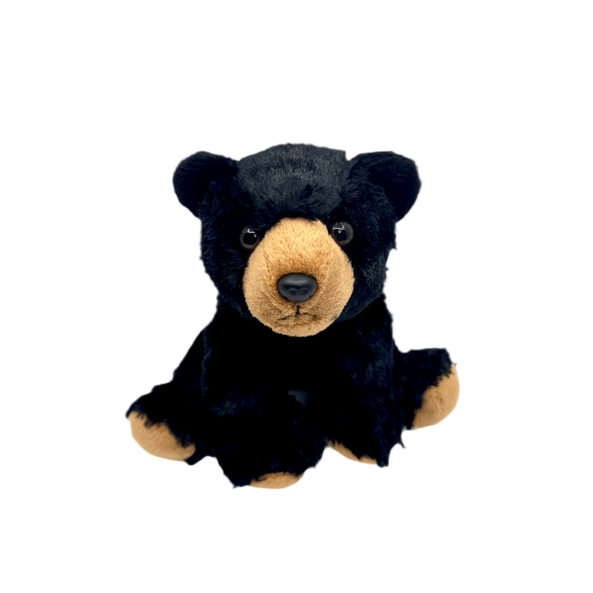 Plush - Black Bear - - Zion Natl Park Forever Project