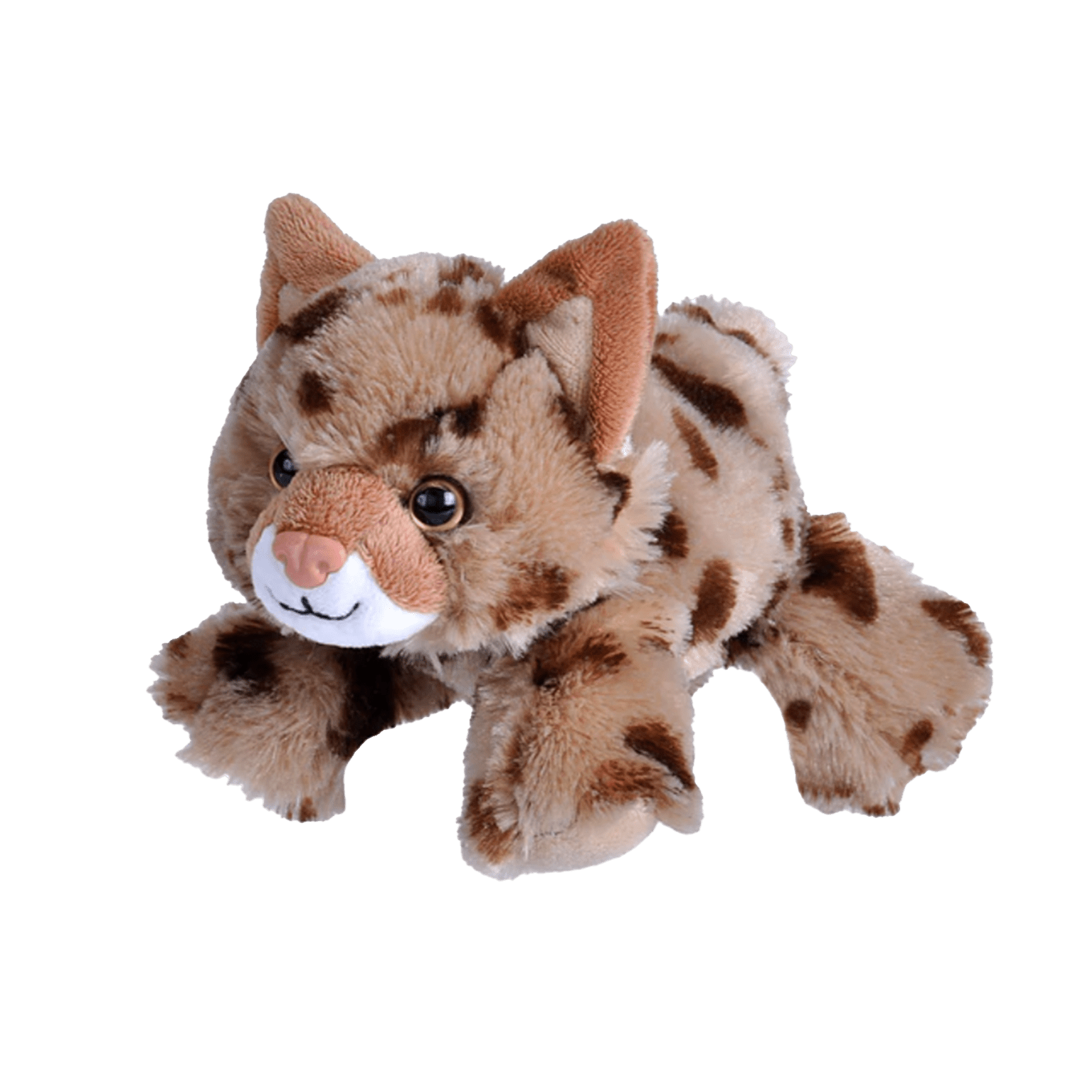 Plush - Bobcat - - Zion Natl Park Forever Project