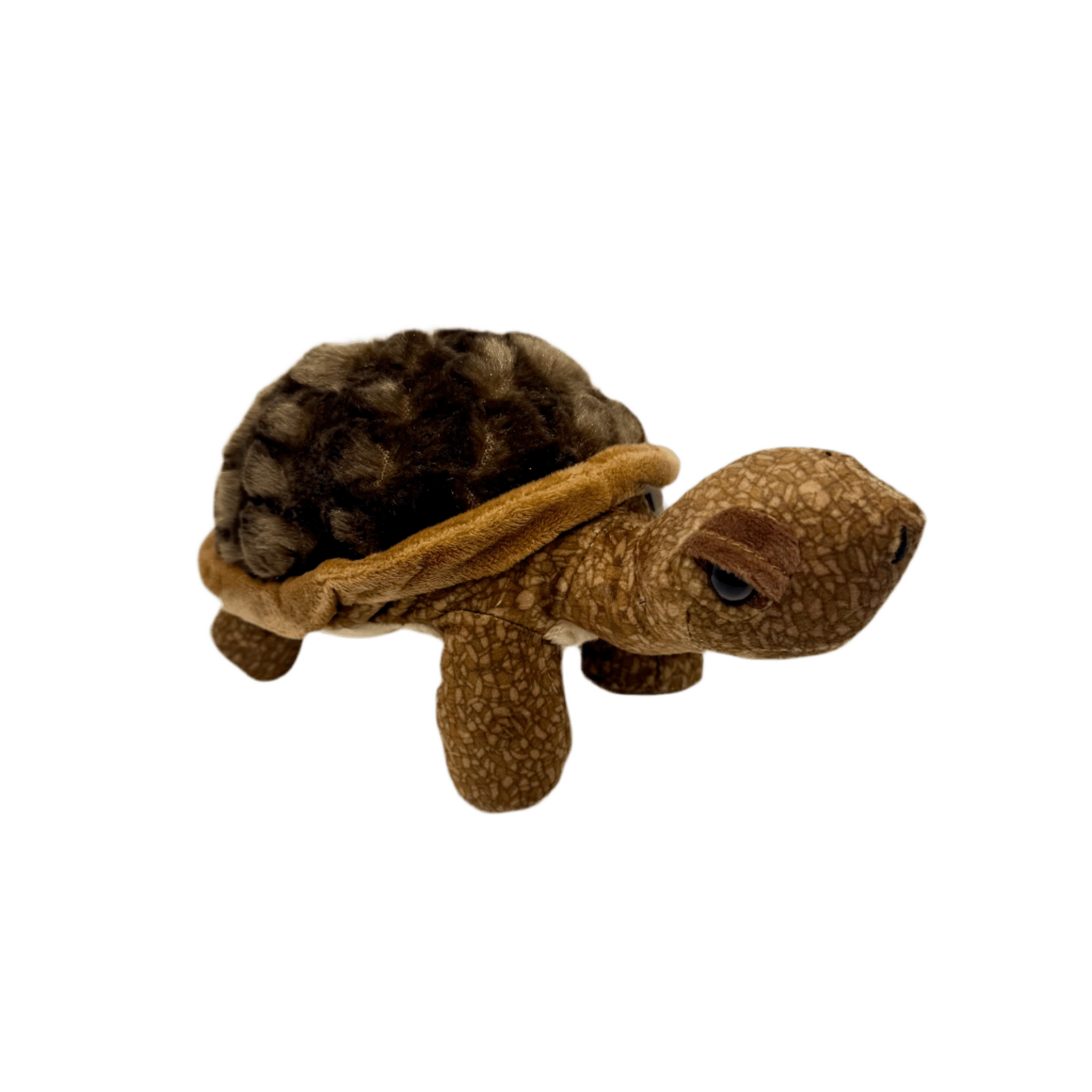 Plush - Desert Tortoise - Zion Natl Park Forever Project