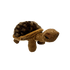Plush - Desert Tortoise - Zion Natl Park Forever Project