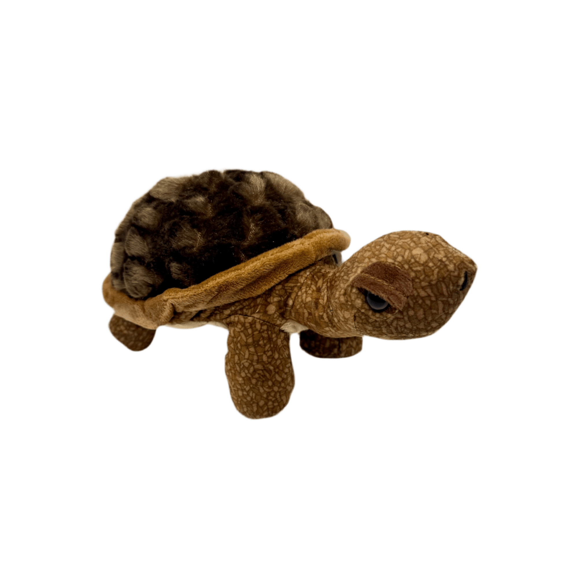 Plush - Desert Tortoise - Zion Natl Park Forever Project