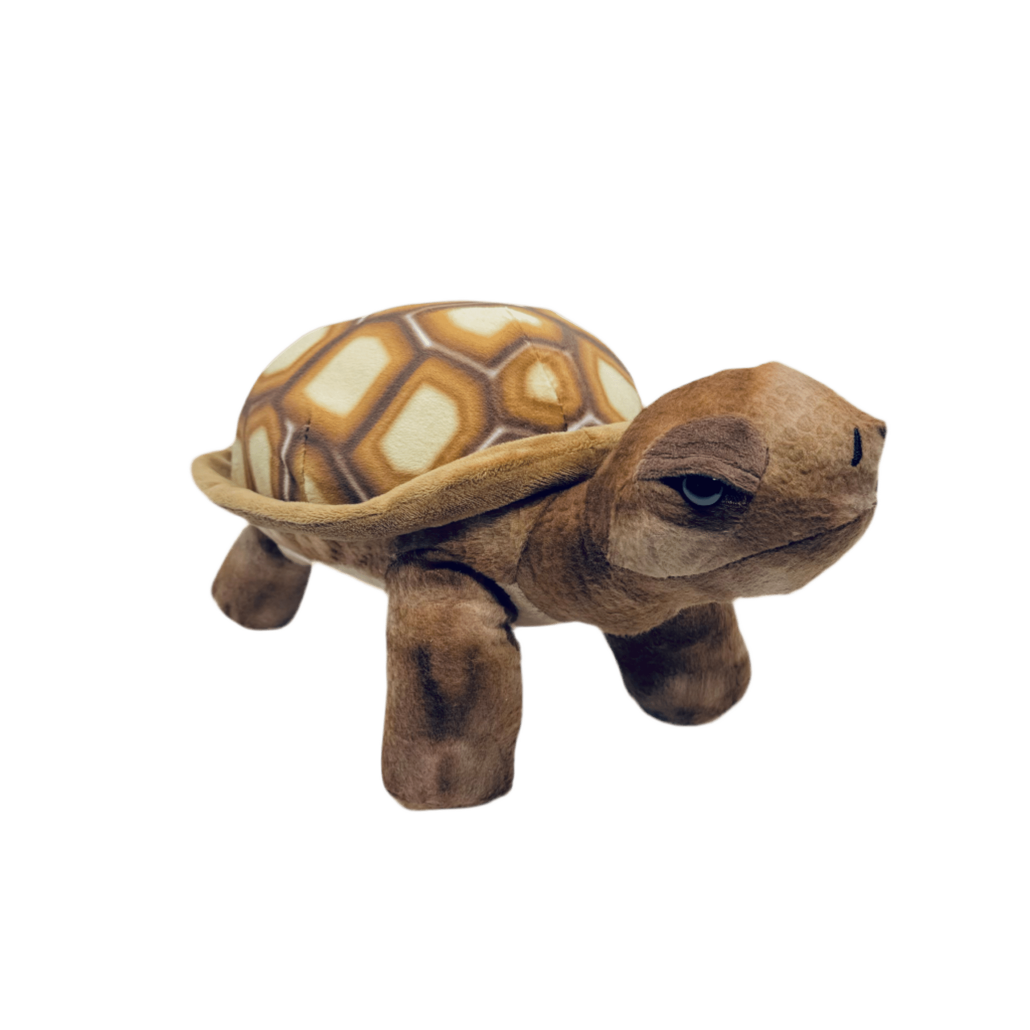 Plush - Desert Tortoise - Zion Natl Park Forever Project