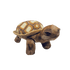 Plush - Desert Tortoise - Zion Natl Park Forever Project
