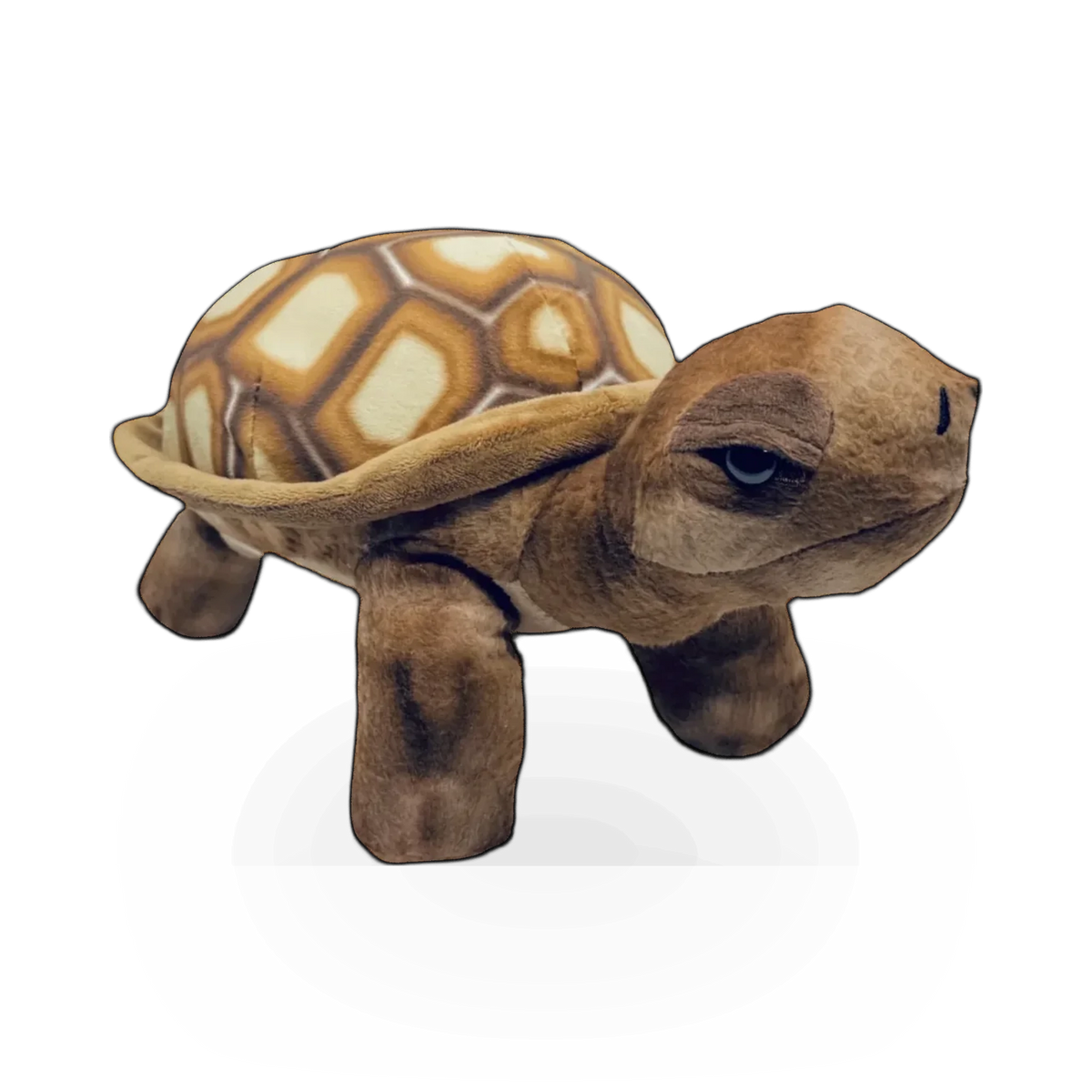 Plush - Desert Tortoise