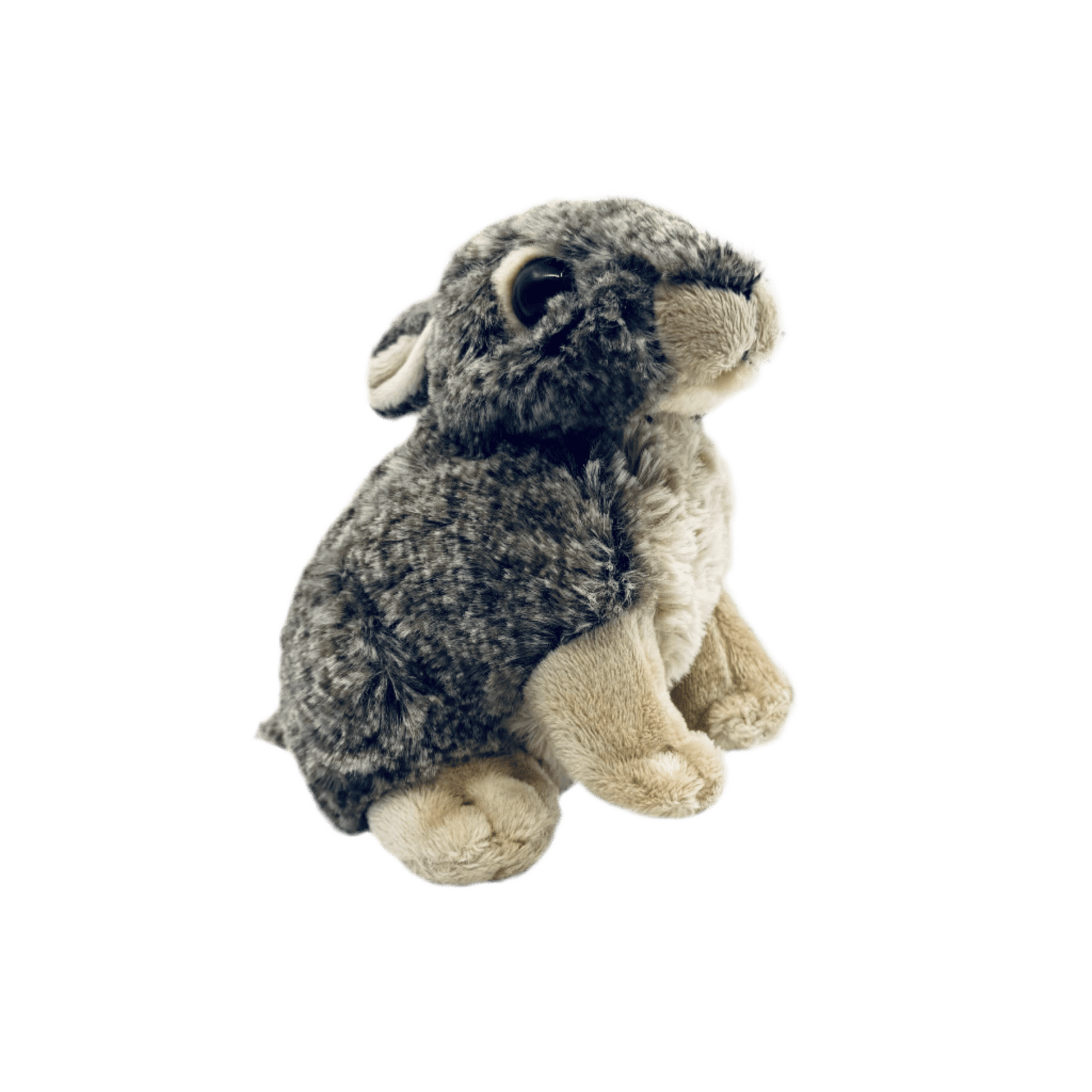 Plush - Jackrabbit - - Zion Natl Park Forever Project