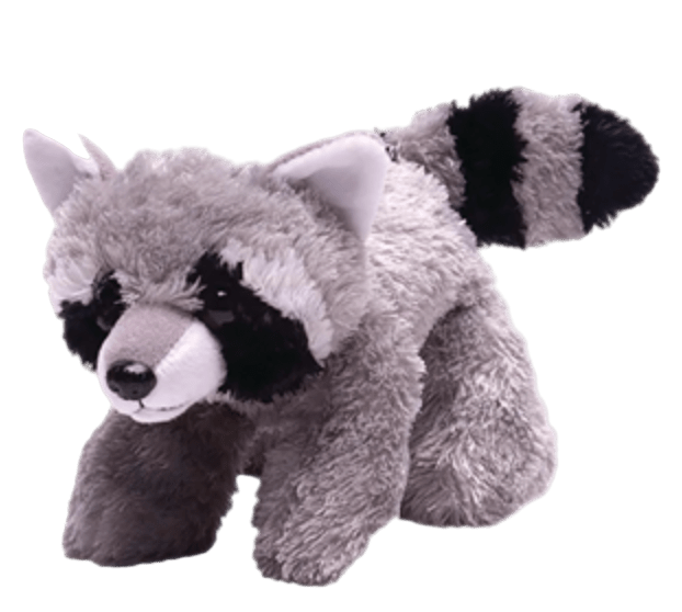 Plush - Raccoon - - Zion Natl Park Forever Project