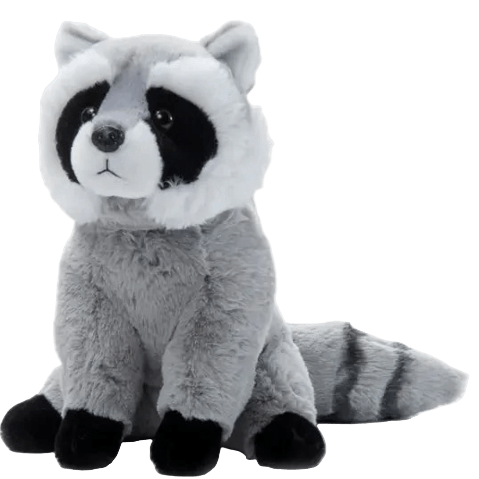Plush - Raccoon - Wild Onez - Zion Natl Park Forever Project