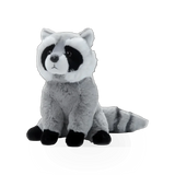 Soft plush raccoon toy from Wild Onez by Zoologee, featuring realistic fur and detailed facial features.