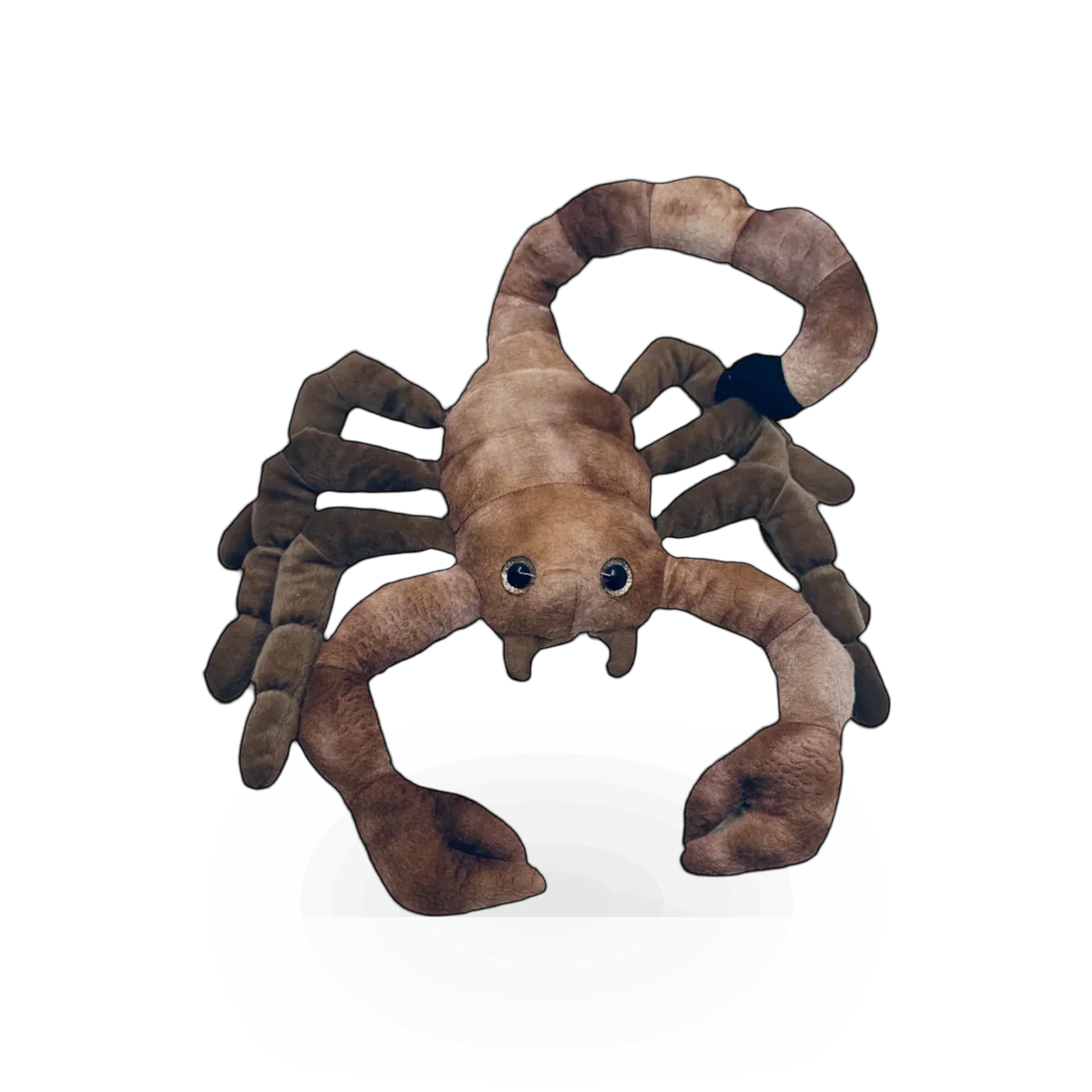 Soft plush scorpion toy from Wild Onez collection by Zoologee, featuring detailed stitching and realistic arachnid shape.