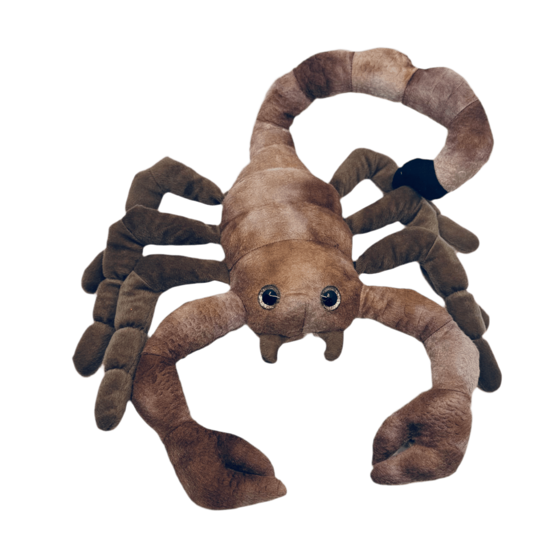 Plush - Scorpion - Wild Onez - Zion Natl Park Forever Project