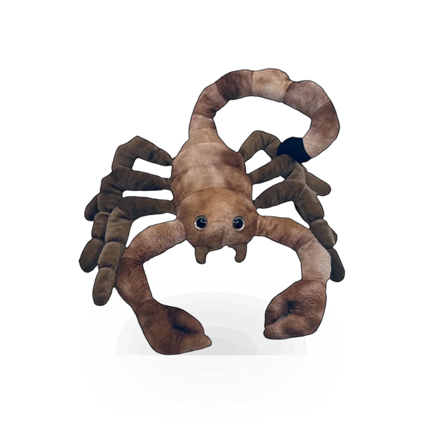 Soft plush scorpion toy from Wild Onez collection by Zoologee, featuring detailed stitching and realistic arachnid shape.