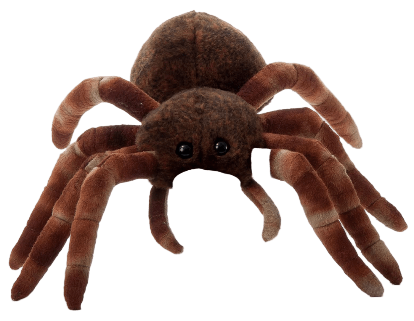 Plush - Tarantula - Wild Onez - 12" - Zion Natl Park Forever Project